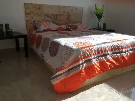 Standard Tek Büyük Yataklı Oda, 1 Yatak Odası, Sigara İçilmez