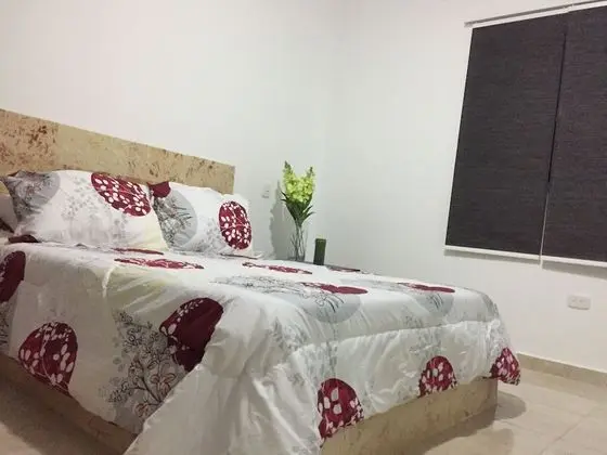 Standard Tek Büyük Yataklı Oda, 1 Yatak Odası, Sigara İçilmez