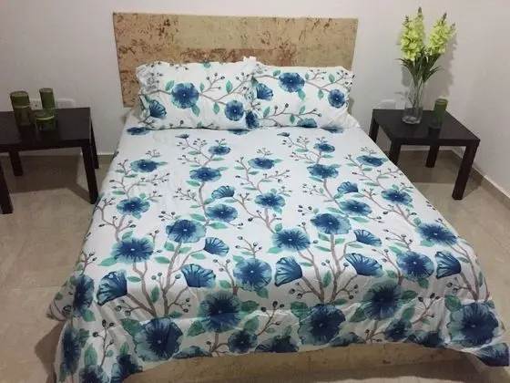 Standard Tek Büyük Yataklı Oda, 1 Yatak Odası, Sigara İçilmez