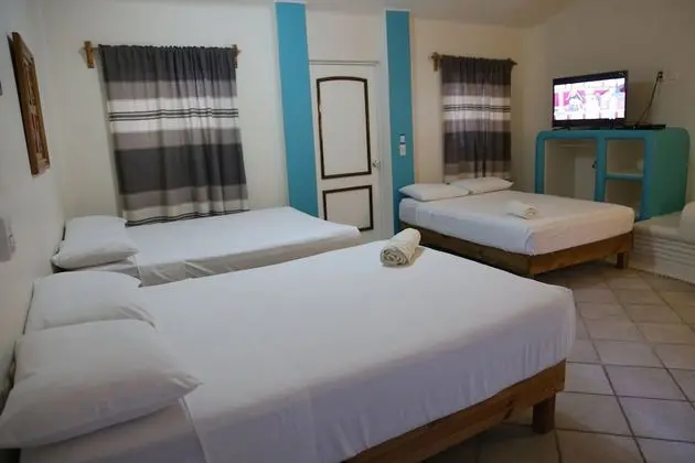 Studio Suite