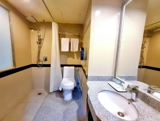 Deluxe İki Ayrı Yataklı Oda, Şehir Manzaralı