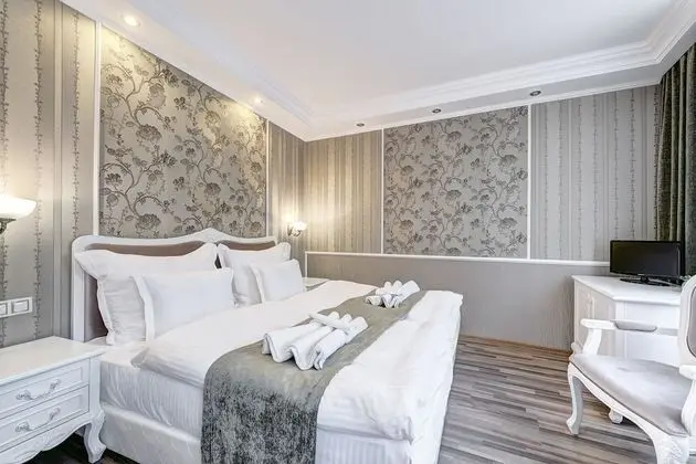 Superior Tek Büyük Yataklı Oda