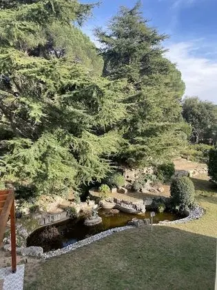 Traditional Tek Büyük Yataklı Oda