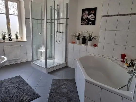 Süit