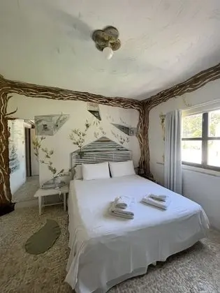 Design Tek Büyük veya İki Ayrı Yataklı Oda, Engellilere Uygun, Özel Banyo