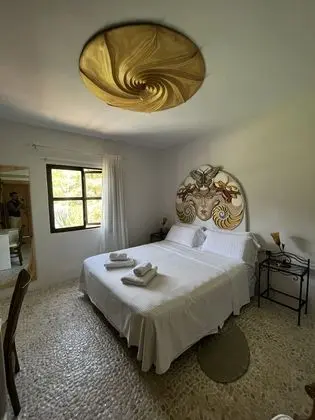 Design Tek Büyük veya İki Ayrı Yataklı Oda, Engellilere Uygun, Özel Banyo