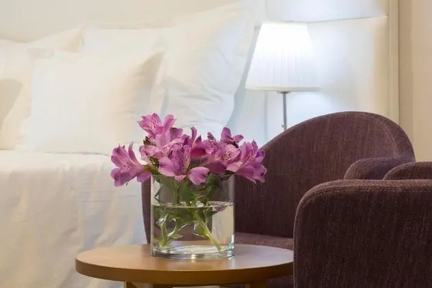 Superior Tek Büyük veya İki Ayrı Yataklı Oda, Teras