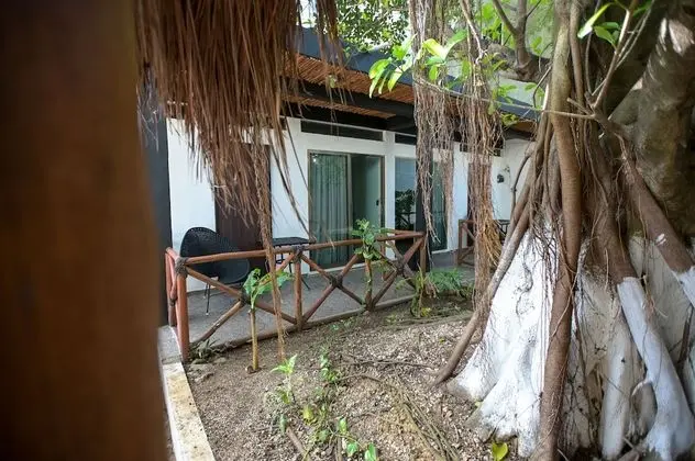 Comfort Oda, Veranda