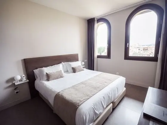 Standard Tek Büyük Yataklı Oda (Single Use)