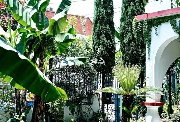 Premium Üç Kişilik Oda, 1 Yatak Odası, Sigara İçilmez, Mutfak