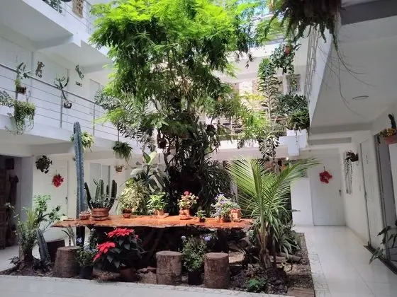 Premium Üç Kişilik Oda, 1 Yatak Odası, Sigara İçilmez, Mutfak