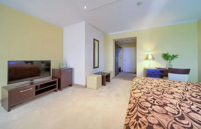 Premium Tek Büyük Yataklı Oda, Deniz Manzaralı