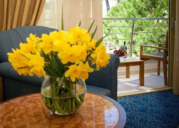 Classic Tek Büyük veya İki Ayrı Yataklı Oda, Balkon