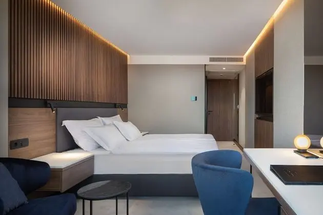 Standard Tek Büyük veya İki Ayrı Yataklı Oda (French balcony)