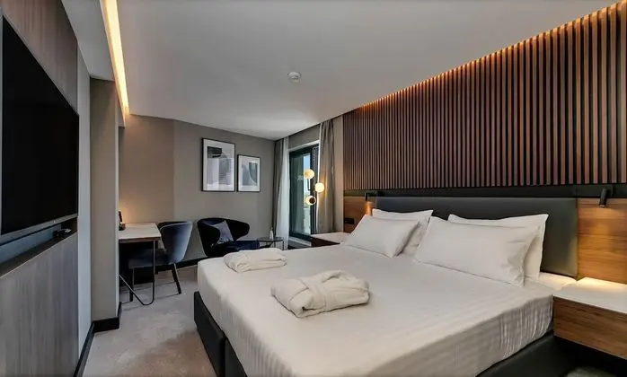 Standard Tek Büyük veya İki Ayrı Yataklı Oda (French balcony)