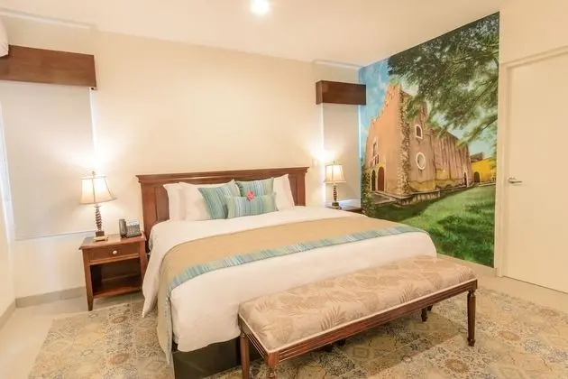 Deluxe King Bed Suite