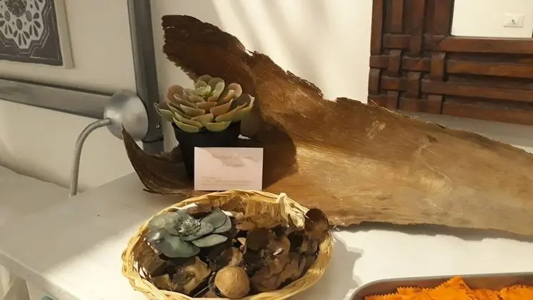 Üç Kişilik Oda