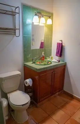 Deluxe Tek Büyük Yataklı Oda, 1 En Büyük (King) Boy Yatak, Sigara İçilmez, Havuz Manzaralı