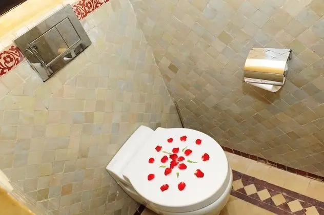 Superior Tek Büyük Yataklı Oda, Sigara İçilmez