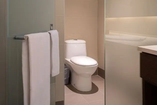 Deluxe Süit, 1 Çift Kişilik Yatak