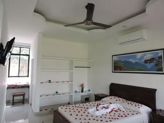 Tek Büyük Yataklı Oda (2 guests)