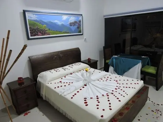 Tek Büyük Yataklı Oda (2 guests)