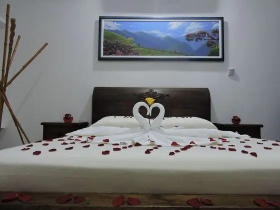 Tek Büyük Yataklı Oda (2 guests)
