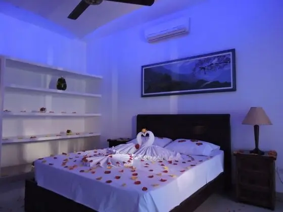 Tek Büyük Yataklı Oda (2 guests)