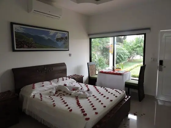 Tek Büyük Yataklı Oda (2 guests)