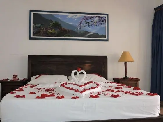Tek Büyük Yataklı Oda (2 guests)