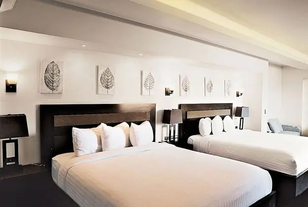 Çatı Katı Süiti (Penthouse), 2 Yatak Odası