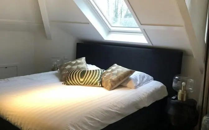 Luxury Çatı Katı (Loft)