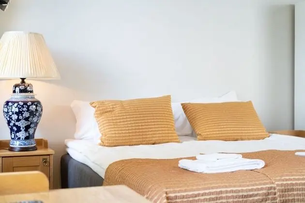 Deluxe Tek Büyük veya İki Ayrı Yataklı Oda