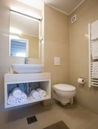 Deluxe Tek Büyük veya İki Ayrı Yataklı Oda