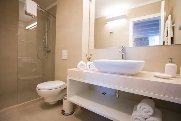 Deluxe Tek Büyük veya İki Ayrı Yataklı Oda