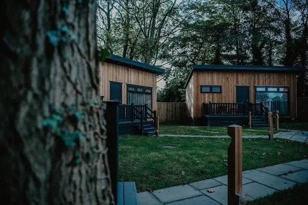 Luxury Kulübe, 1 En Büyük (King) Boy Yatak