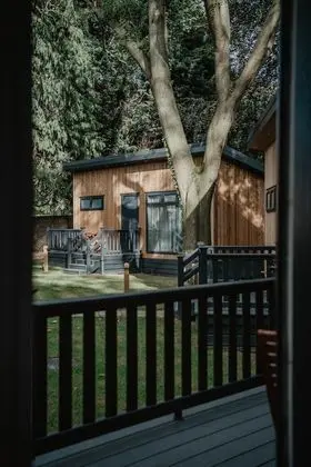 Luxury Kulübe, 1 En Büyük (King) Boy Yatak