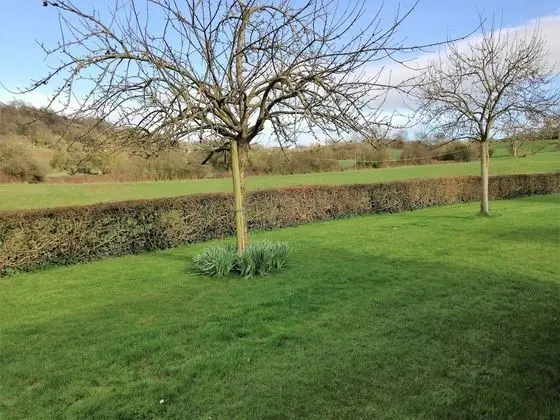 İki Ayrı Yataklı Oda, Banyolu/Duşlu (Large)