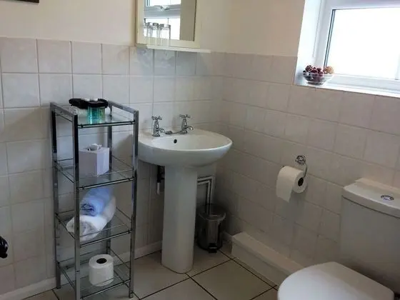 Standard Tek Büyük Yataklı Oda, Banyolu/Duşlu