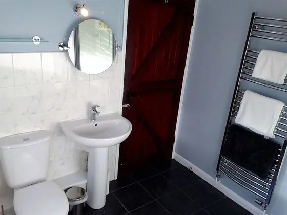 Tek Büyük Yataklı Oda, Banyolu/Duşlu (King Bed)