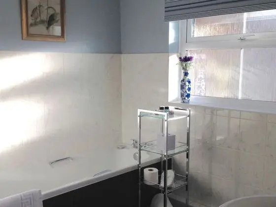 Tek Büyük Yataklı Oda, Banyolu/Duşlu (King Bed)
