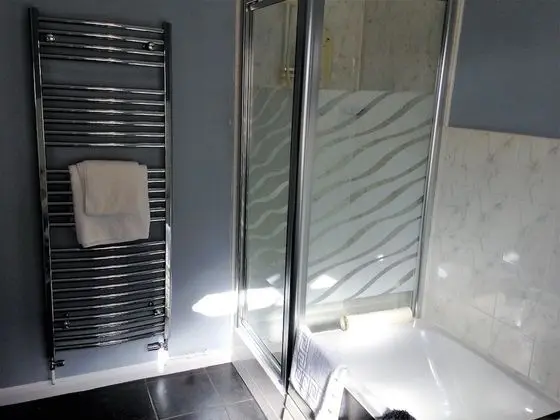 Tek Büyük Yataklı Oda, Banyolu/Duşlu (King Bed)