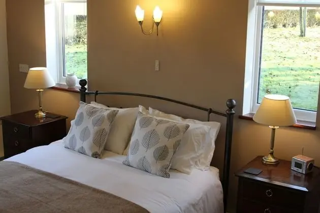 Tek Büyük Yataklı Oda, Banyolu/Duşlu (King Bed)