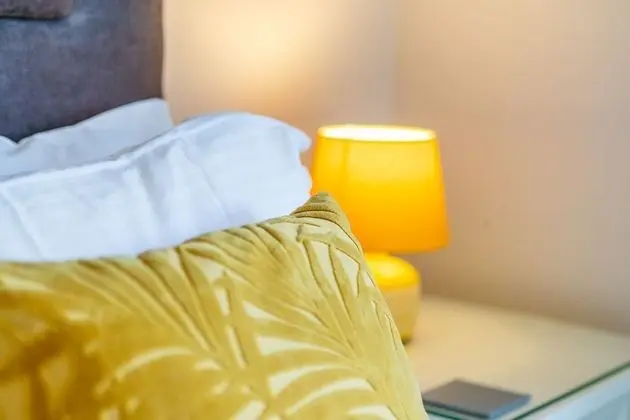 Deluxe Tek Büyük Yataklı Oda, Banyolu/Duşlu (King Size)
