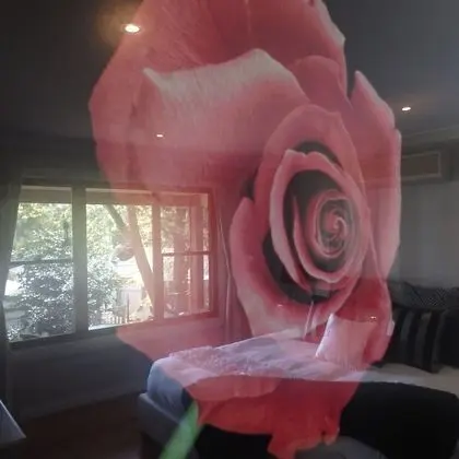 Standard Süit, 1 Yatak Odası, Sigara İçilmez, Balkon