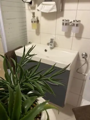 Standard Tek Büyük Yataklı Oda, Özel Banyo