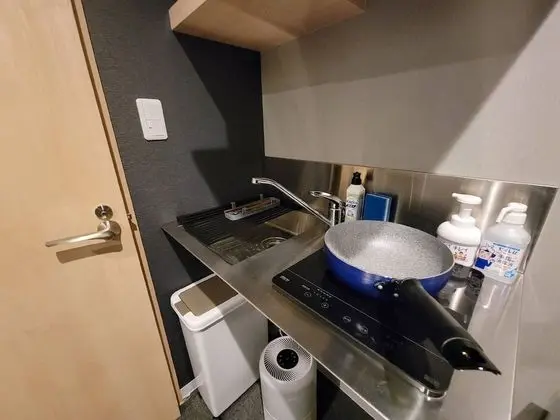 Basic Tek Büyük Yataklı Oda (Pet Friendly)