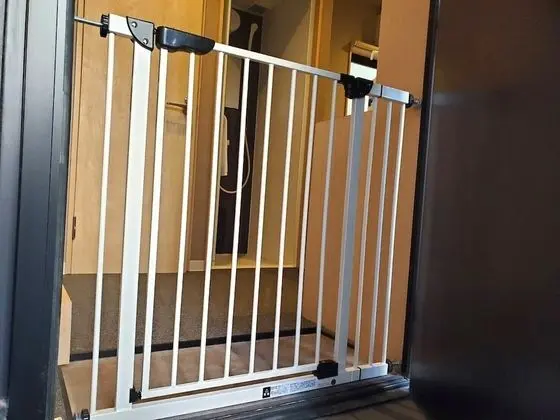 Basic Tek Büyük Yataklı Oda (Pet Friendly)