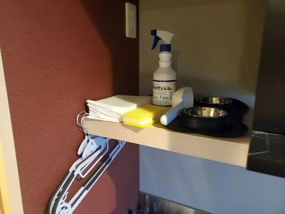 Basic Tek Büyük Yataklı Oda (Pet Friendly)
