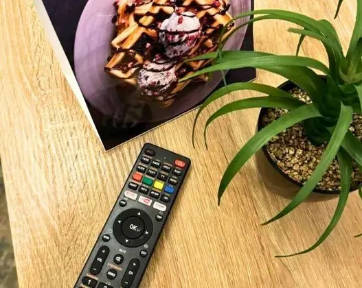Deluxe Tek Büyük Yataklı Oda, 1 En Büyük (King) Boy Yatak, Sigara İçilmez, Mutfak